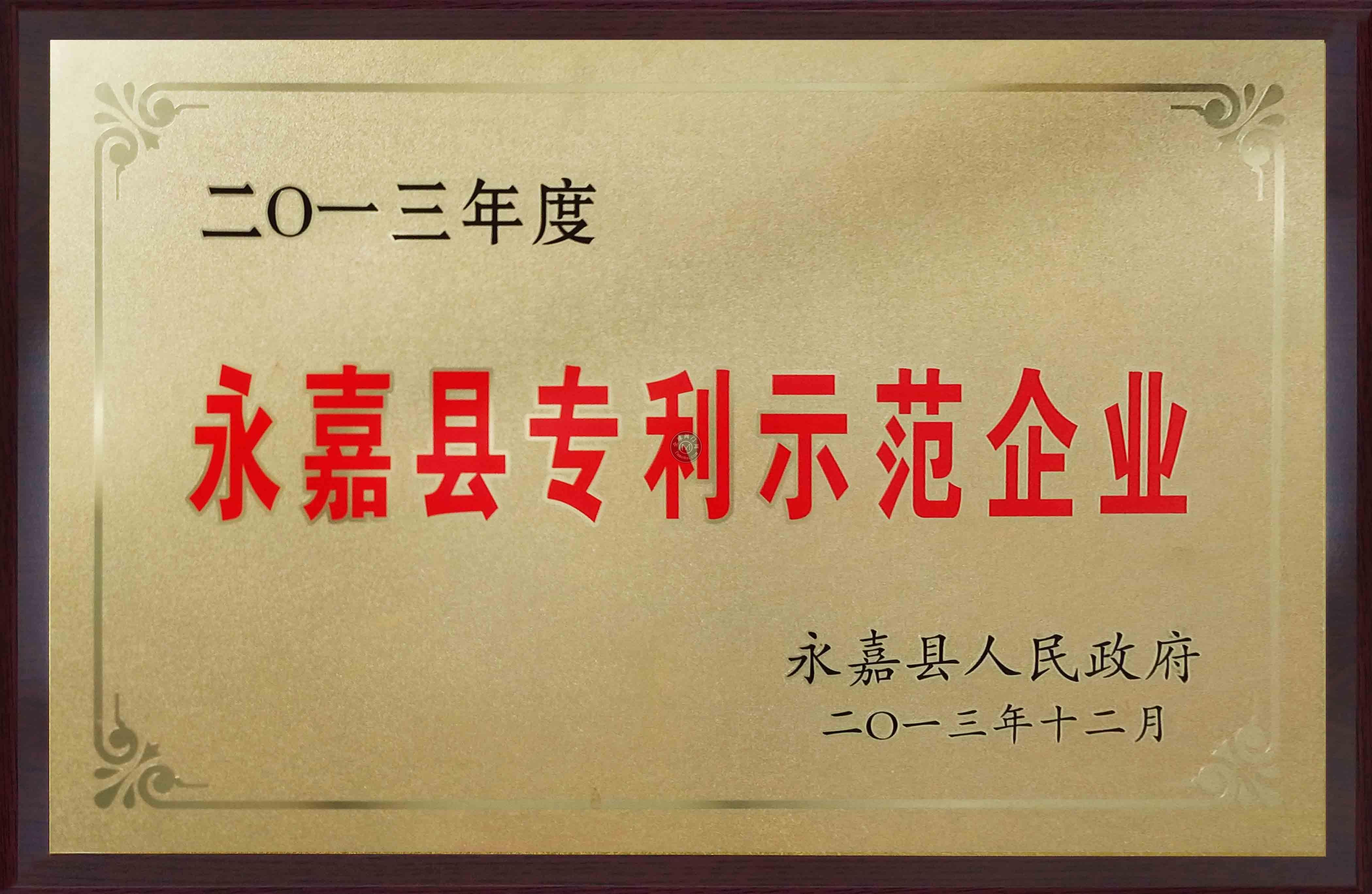 2013永嘉县专利示范企业