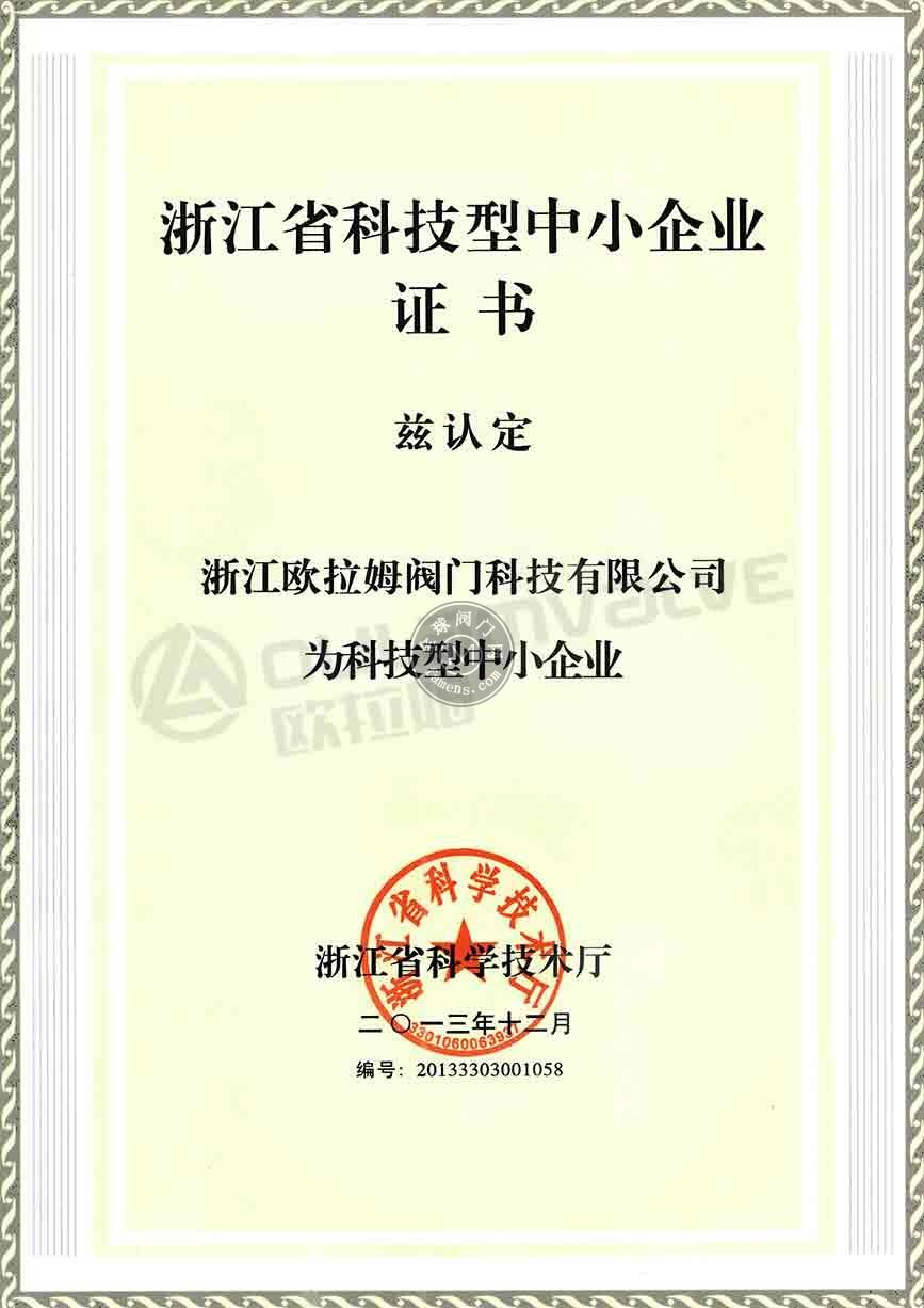 省级-2013浙江省科技型中小企业证书