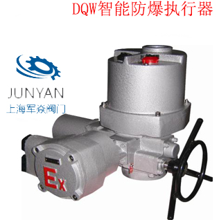 防爆电动装置 DQW10-1EW DQW20 DQW30