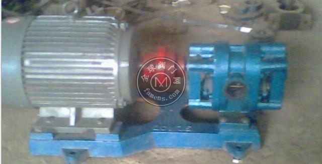 茁博GWB型外润滑渣油泵GWB2-58/1.6合金钢材质，外润滑泵，重油齿轮泵，白土泵