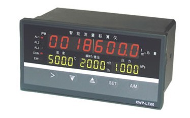流量积算仪XWP-LE802