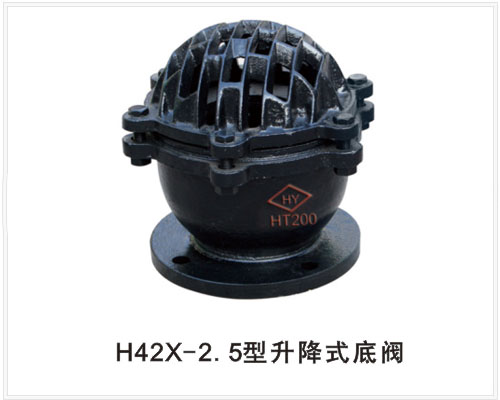 H42X-2.5法兰底阀