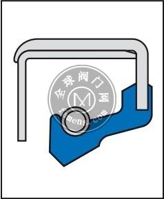 CFW外露铁壳B2型骨架油封