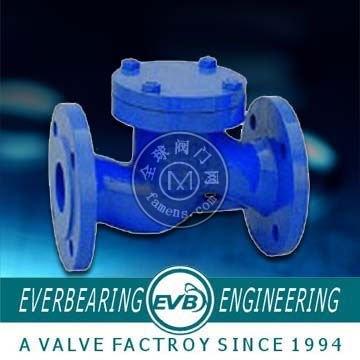 DIN standard check valve