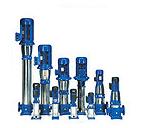 赛莱默水泵10SV03F011T立式不锈钢水泵