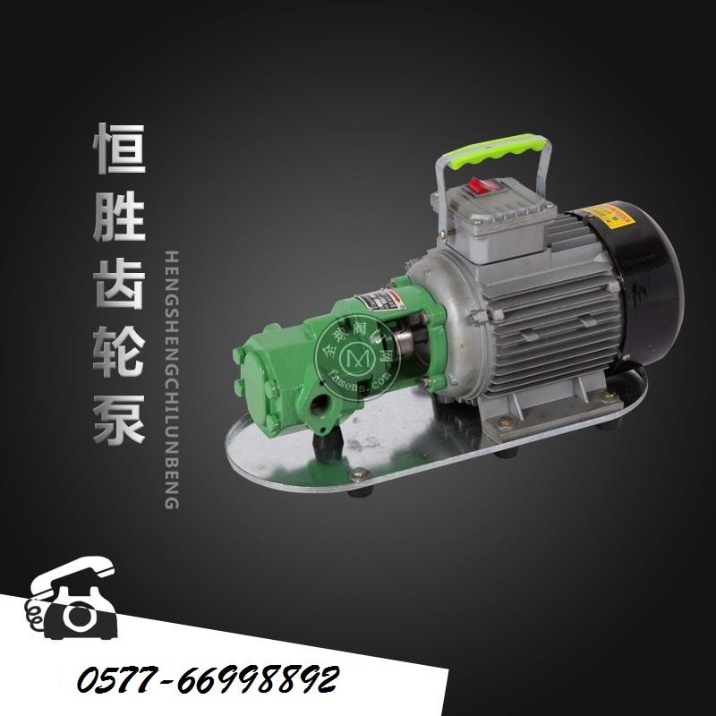 WCB齿轮泵220v电动柴油泵自吸泵机油抽油泵加油泵