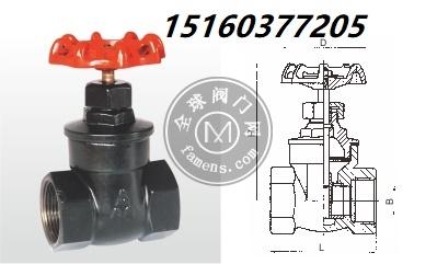 宁波埃美柯铁制闸阀Z15T-16Q