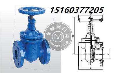 宁波埃美柯铁制法兰暗杆闸阀Z45T-16