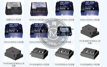 燃烧器点火变压器