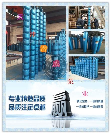 200QJ63-204-55KW高品质深井泵厂家-天津潜水泵