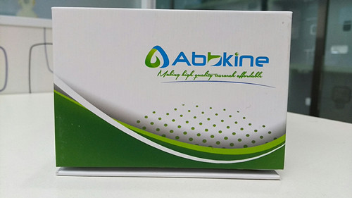 ExKine™ 总蛋白提取试剂盒