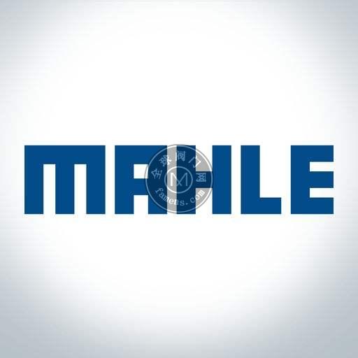 MAHLE马勒正品滤芯PI8545DRG100