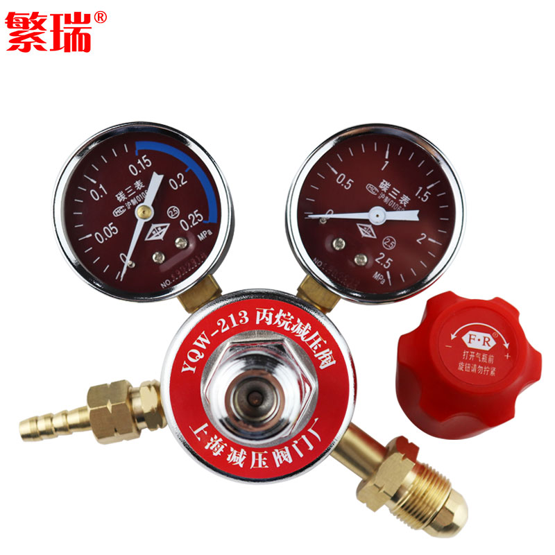 上海繁瑞丙烷减压阀YQW213丙烷减压器YQW-2