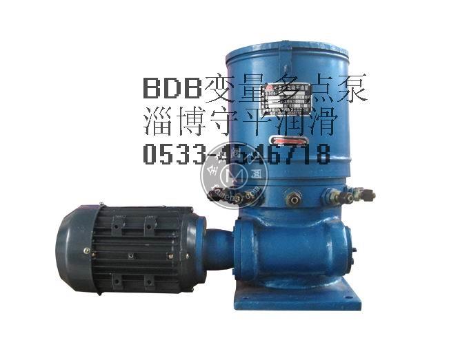 BDB变量电动干油泵