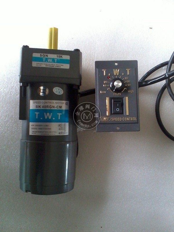 TWT电机，TWT离合刹车电机，TWT东炜庭电机