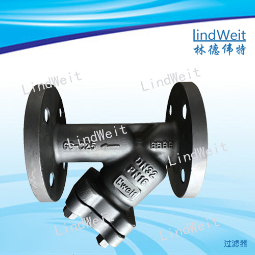 LindWeit工厂直销蒸汽系统优质过滤器