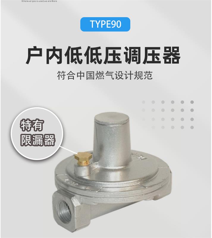 中国总代理意大利 Cavagna  Group 卡瓦尼亚TYPE-95户内低低压调压器