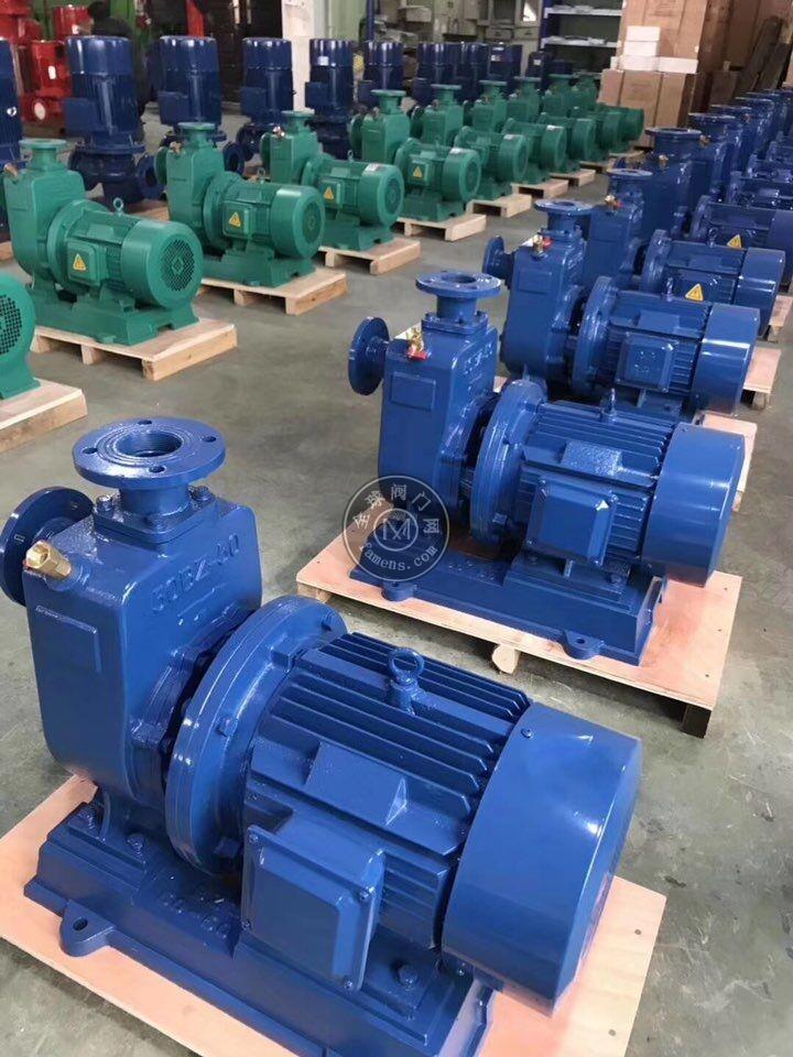 漳浦厂家w88平台旋涡泵 直联自吸涡流泵