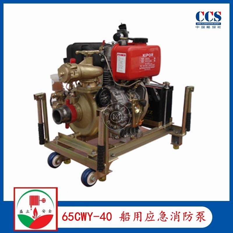65CWY-40船用CWY系列柴油机应急消防泵带CCS