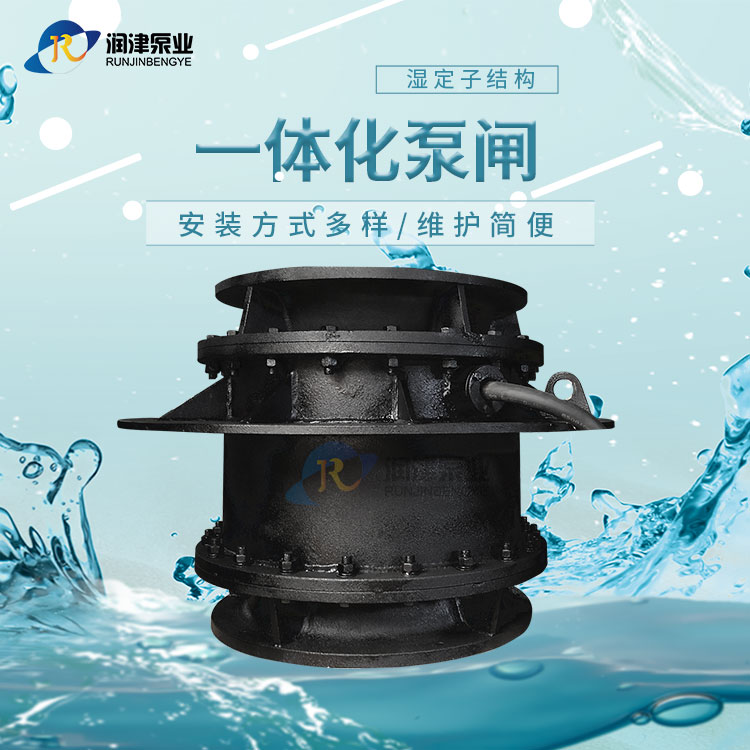 QGWZ潜水全贯流泵闸门式安装 润津泵业泵闸制造商