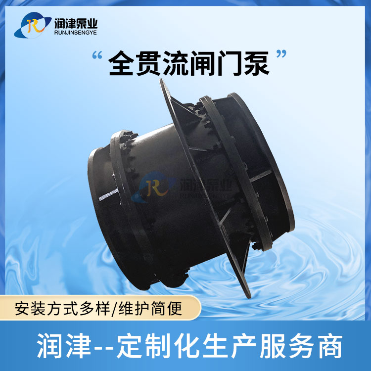 閘門泵 濕式結構 一體化泵閘專用潛水泵 潤津泵業