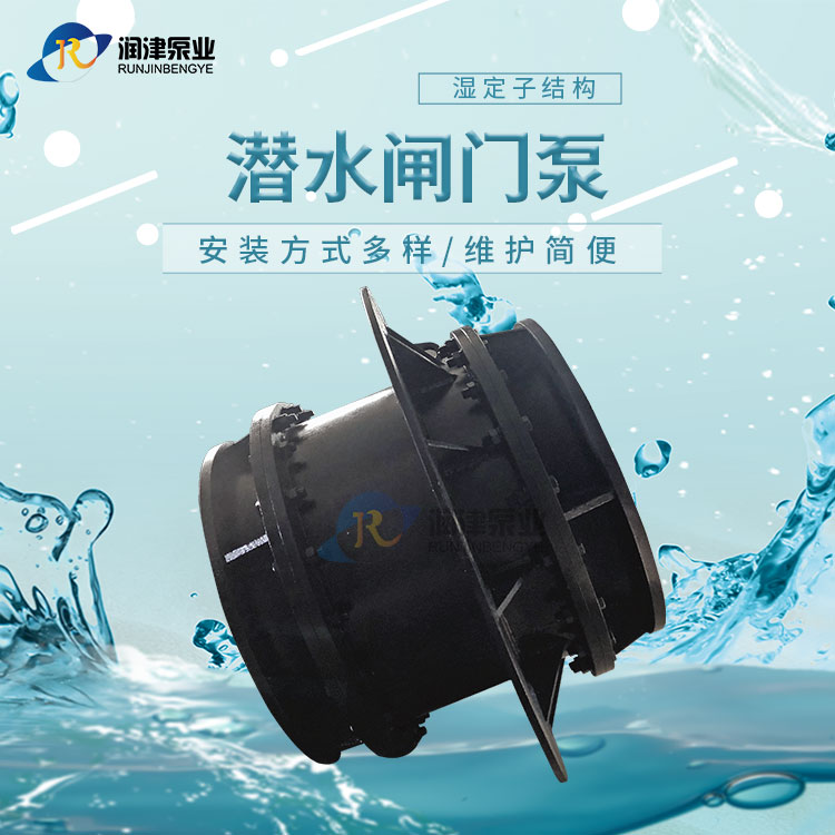 一體化泵閘設備 全貫流潛水閘門泵 閘門泵定制化生產商