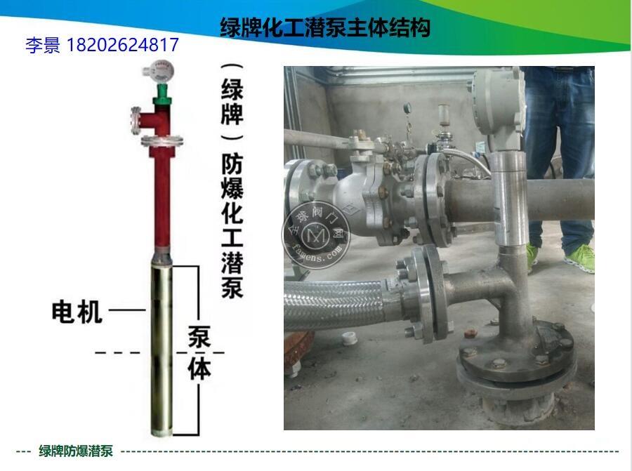 甲醇防爆液下泵-罐内防爆潜泵-不锈钢潜液泵