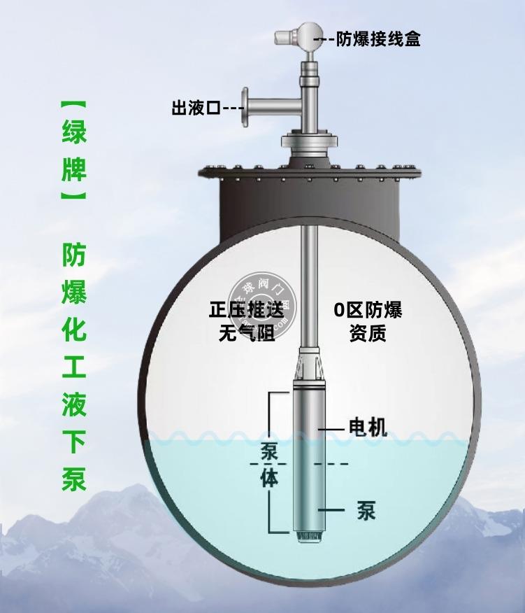 新型化工液下泵-防爆潜泵