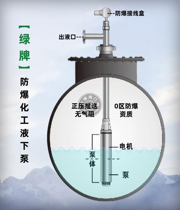 天津加马绿牌不锈钢电潜泵