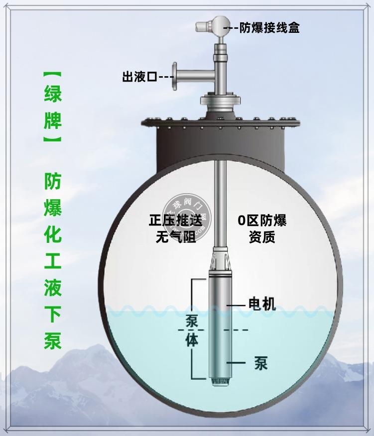 绿牌免维护液下泵-化工防爆潜泵