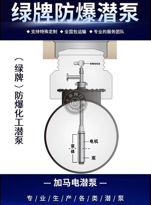 不锈钢液下泵|医用有机溶剂地埋罐免维护液下泵