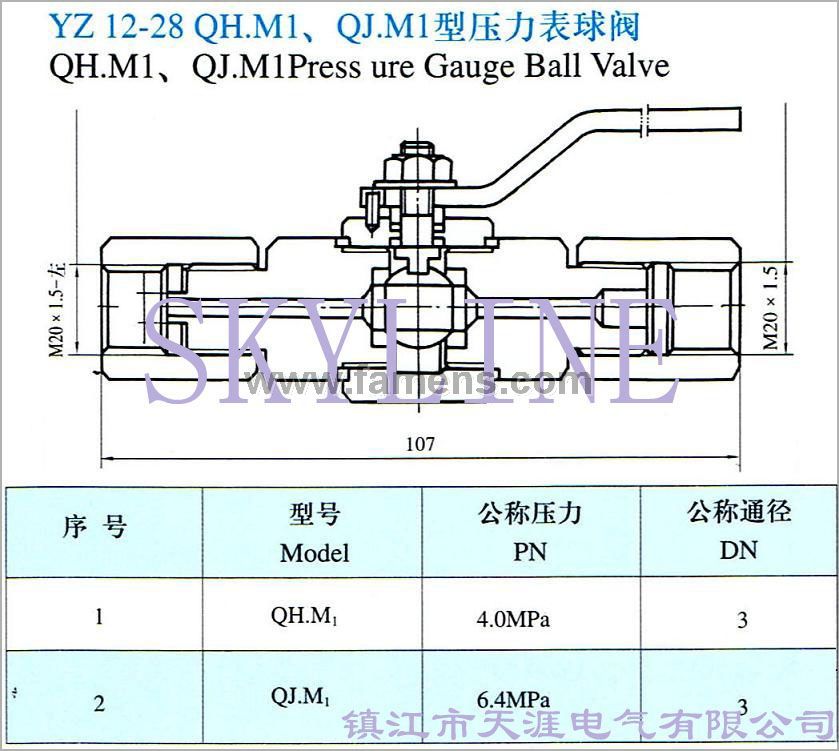 YZ12-28 QH.M1 QJ.M1型压力表球阀