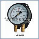 双针双管压力表|YZS-102双针压力表