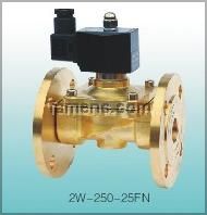 供应2W-250-25FN系列电磁阀铜材质
