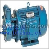 漩涡泵型号:1W型单级漩涡泵|旋涡泵