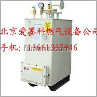 气化器-液化气气化器-防爆气化炉-电加热气化器